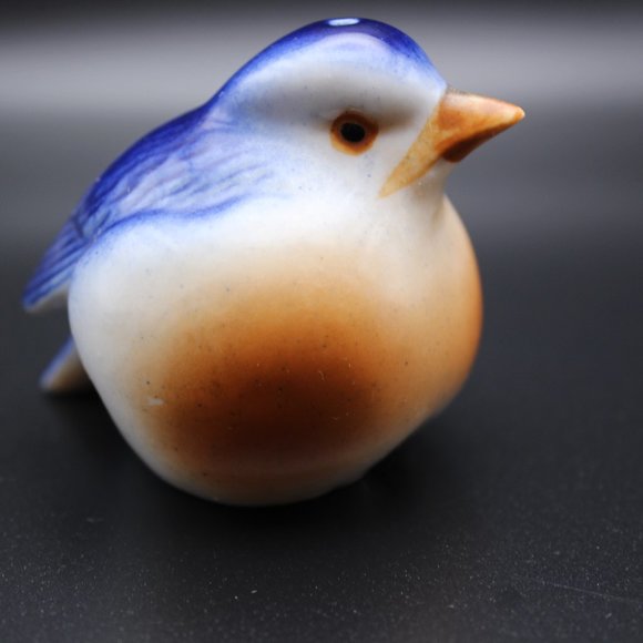 Vintage Eastern Blue Birds Salt and Pepper - Picture 1 of 13